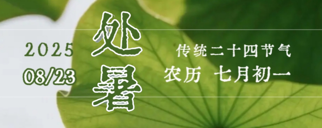 处暑 | 挥别炎夏 收养身心